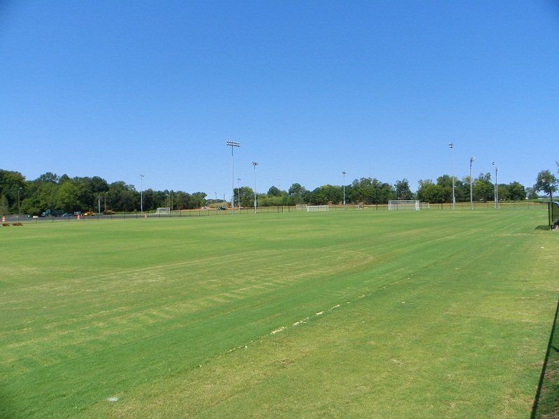 A large lush green field with trees in the background on a sunny day.