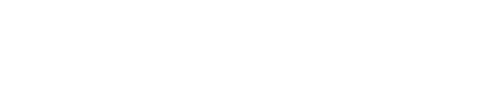 University of Denver logo