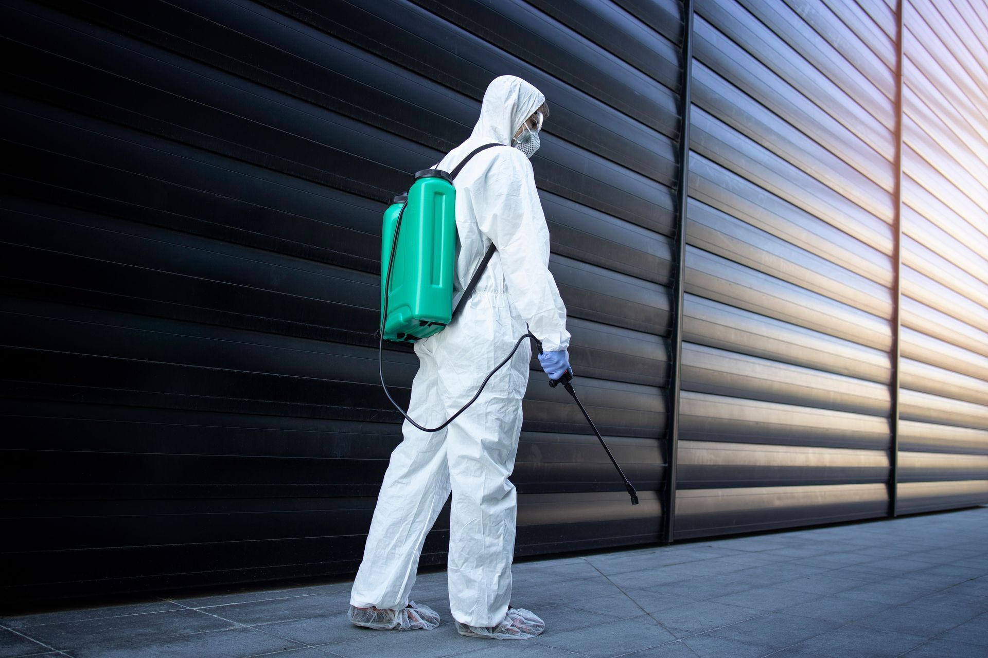 expert commercial pest control