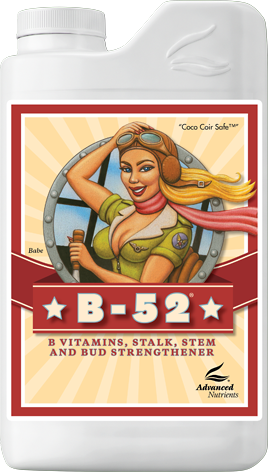 B-52 vitamins bottle with a colorful retro pin-up illustration and red label