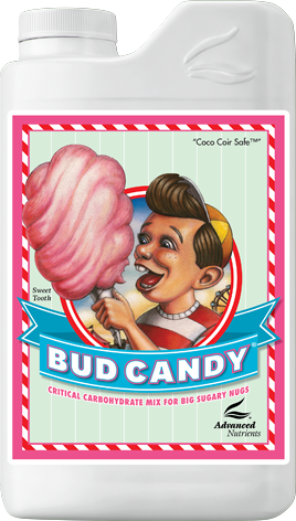 Bud Candy container label with pink cotton candy and a smiling cartoon face on red striped background