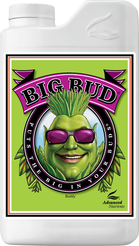 Big Bud plant nutrient bottle with a green cartoon face and purple sunglasses on the label