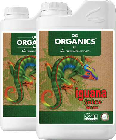 OG Organics Iguana Juice Bloom plant nutrient bottles with green iguana label