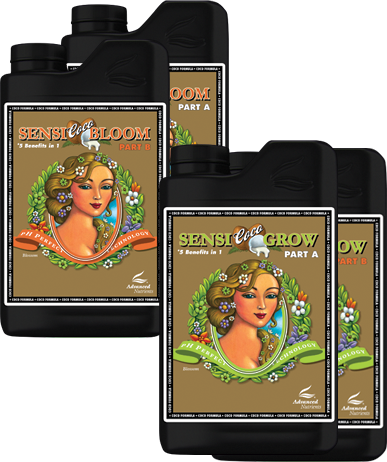 Three black bottles of Sensi Bloom Grow Part A plant nutrient with illustrated label