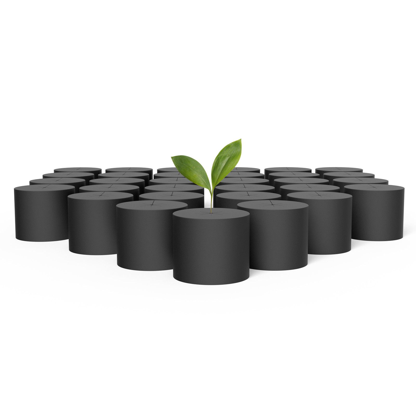 Green seedling growing among black cylindrical blocks on a white background