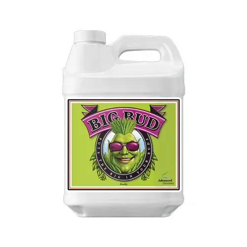 Big Bud white jug with green label and purple logo