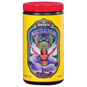 Yellow jar with red lid labeled “Open Sesame,” featuring a colorful genie illustration.