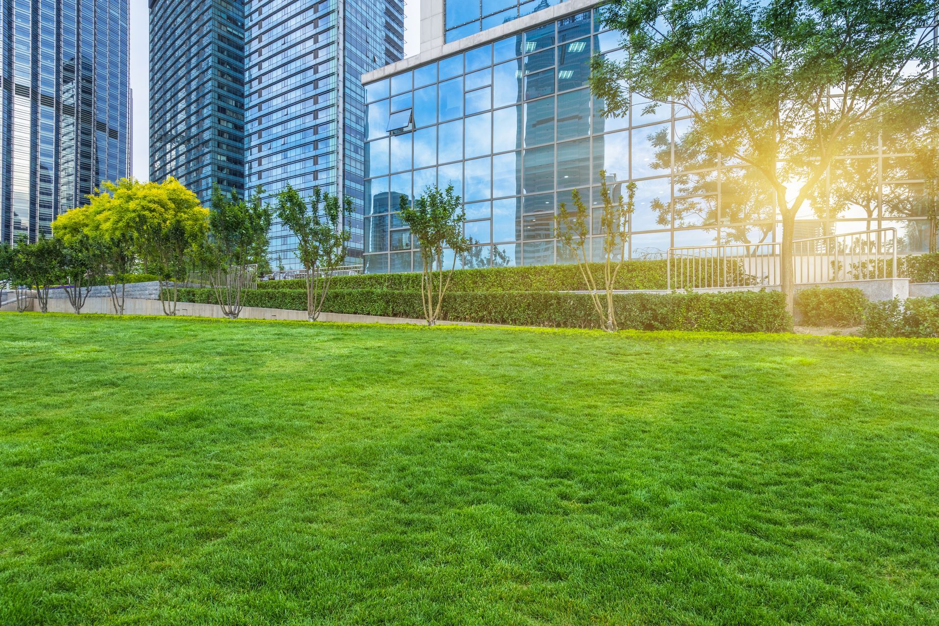 A lush green park with tall buildings in the background.