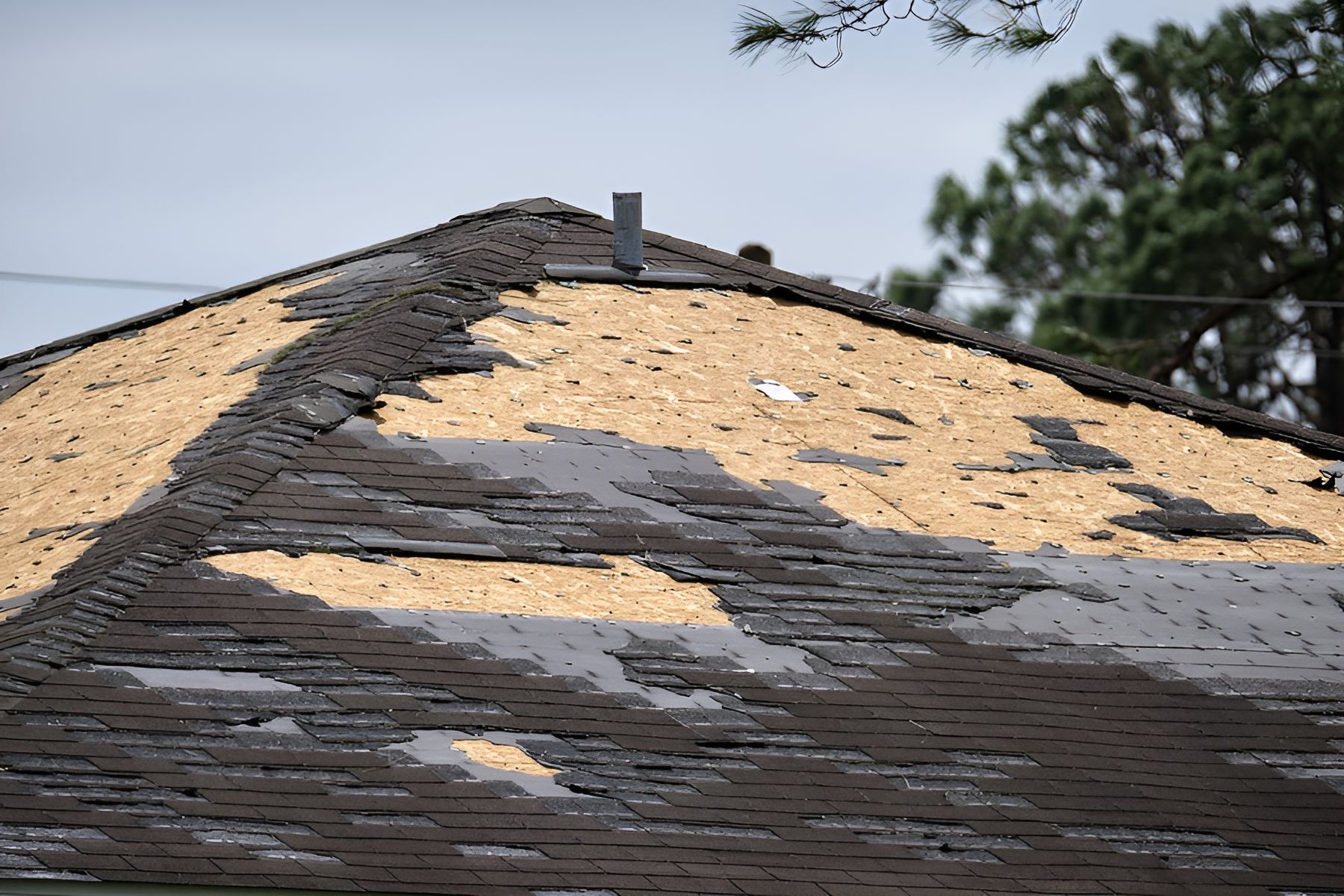 Damaged shingle roof with large exposed plywood patches and missing shingles