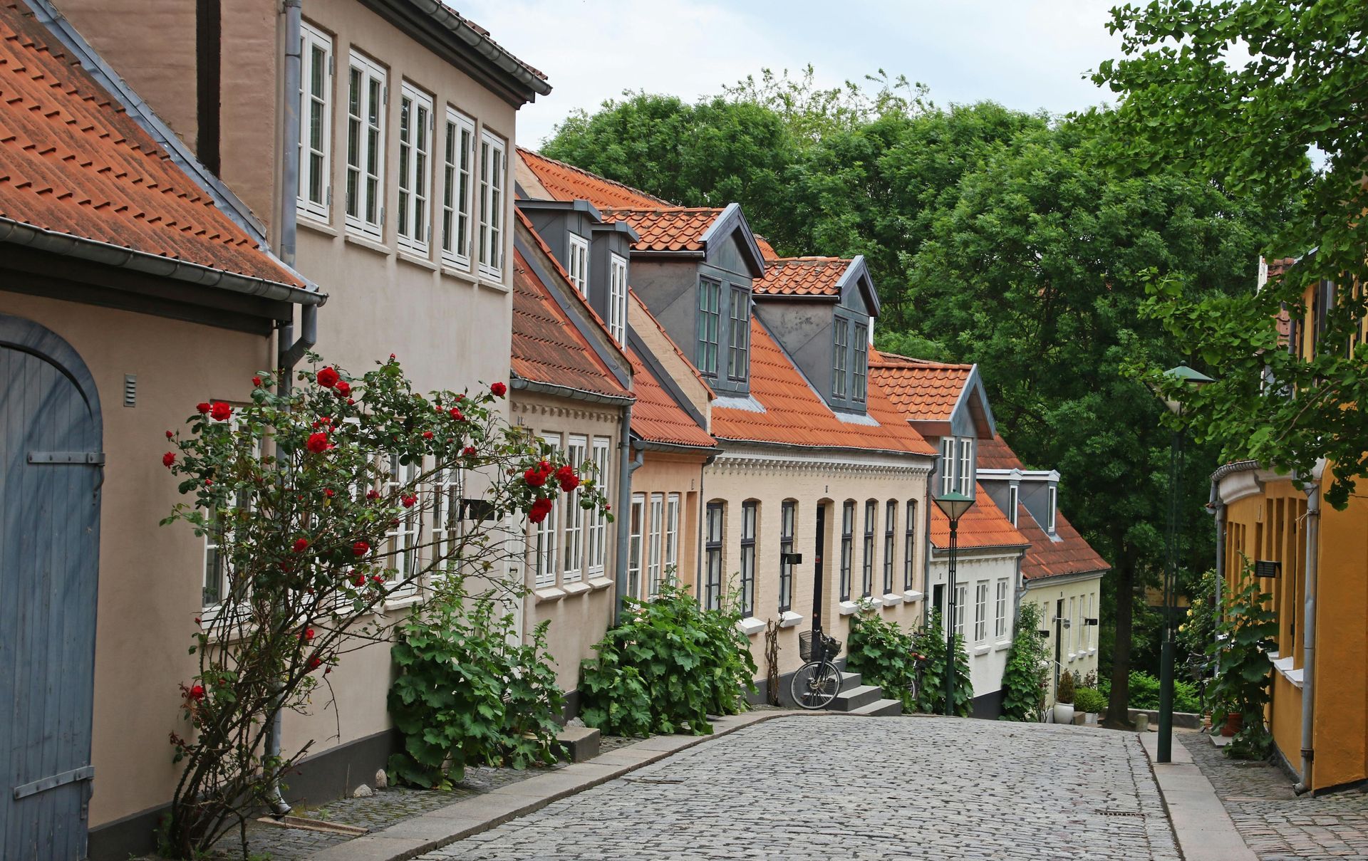 Narrow cobblestone street lined with pastel houses and red-tiled roofs, with trees at the end.
