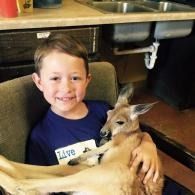 Child smiling while holding a kangaroo in a kitchen sink area