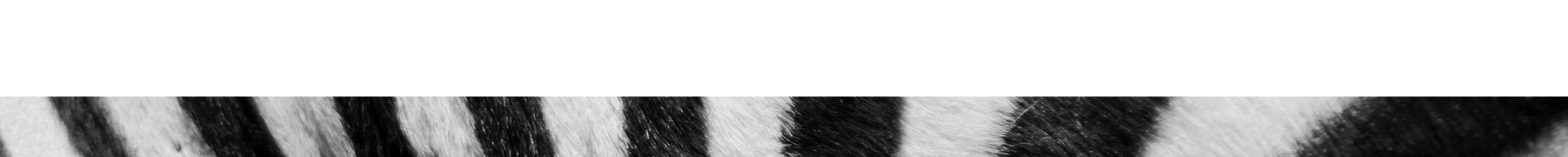 A black-and-white striped bar or textured pattern animal print
