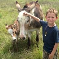 Boy standing beside two donkeys in a grassy field, petting one donkey’s head.