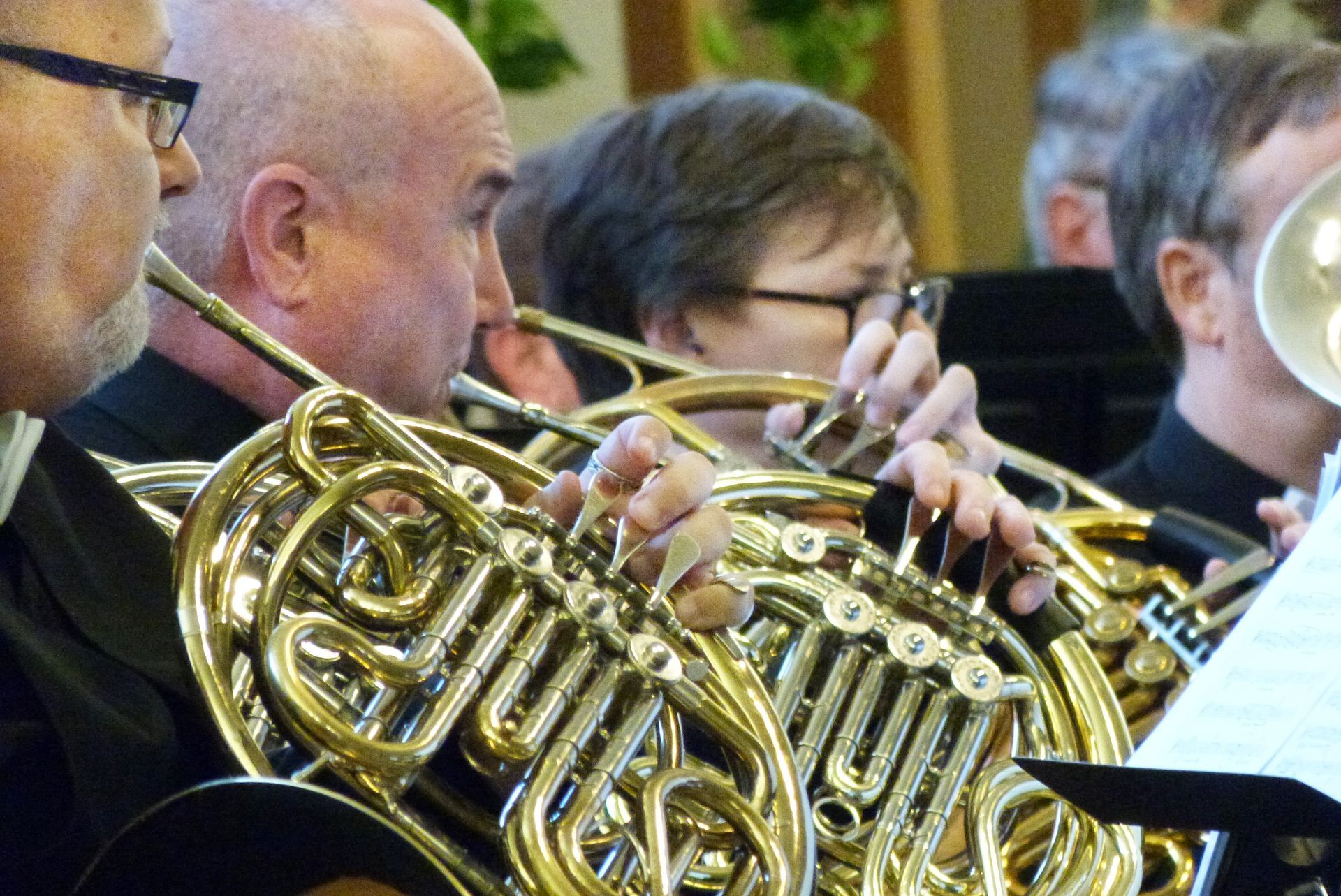 French horn section performing at concert.