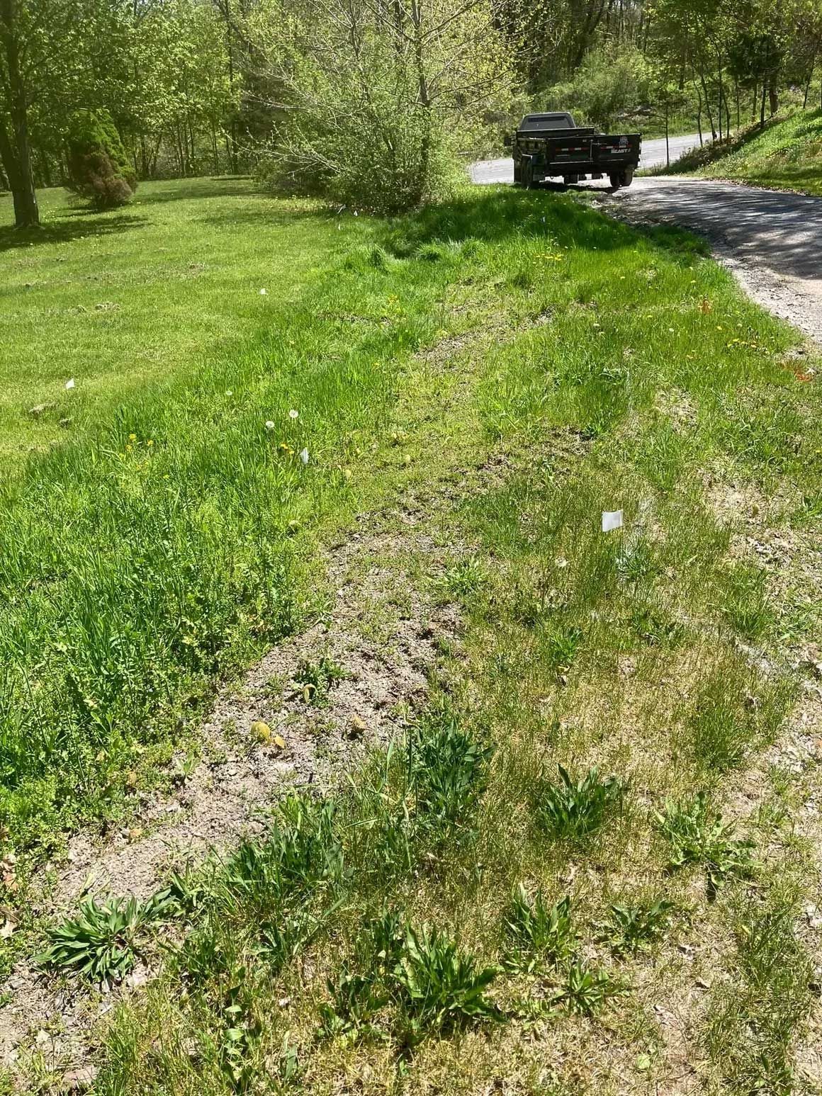 Driveway Grading 3
