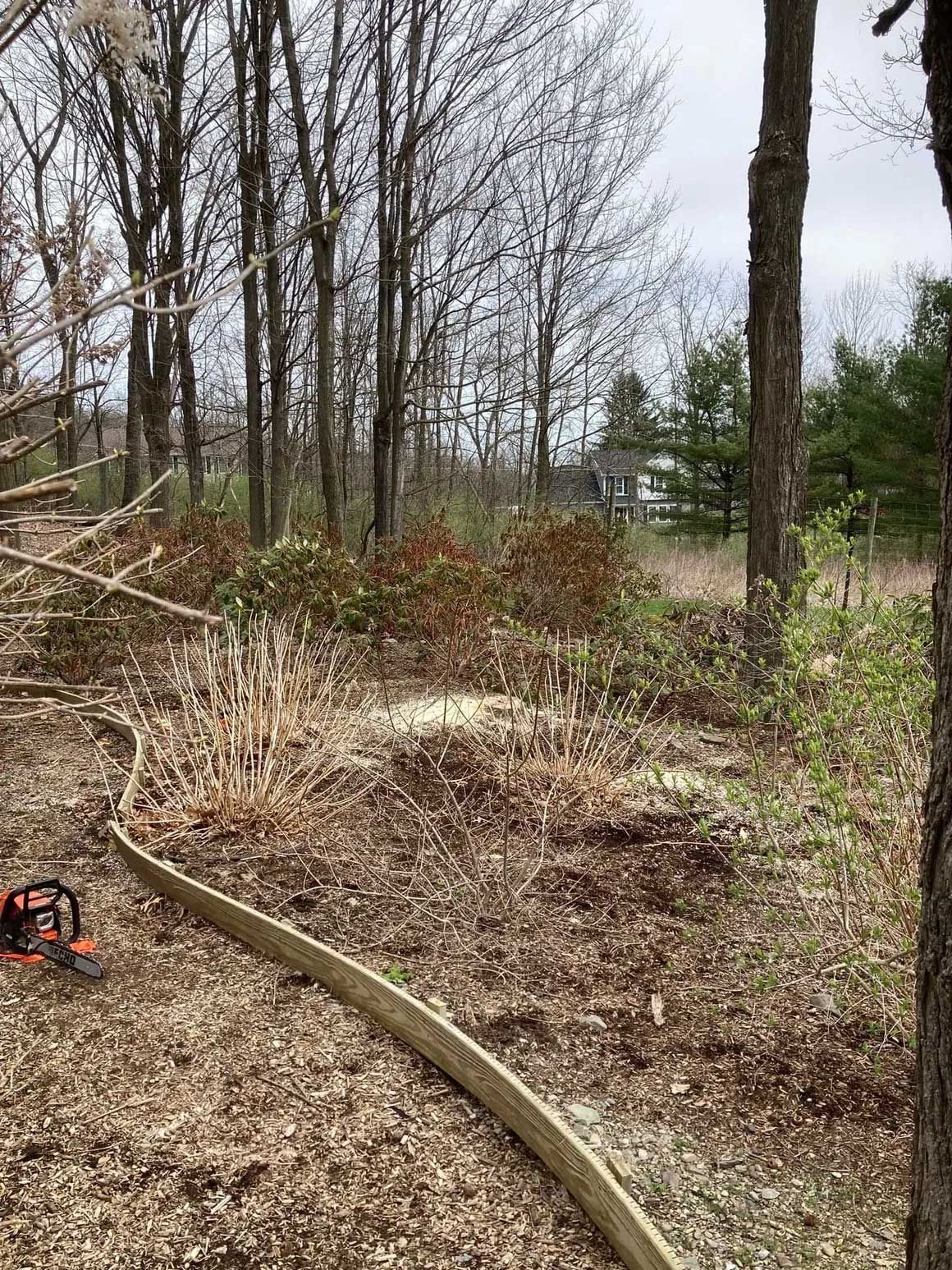 Tree Removal 12