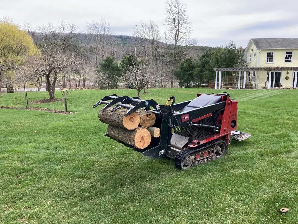 Tree Removal 4