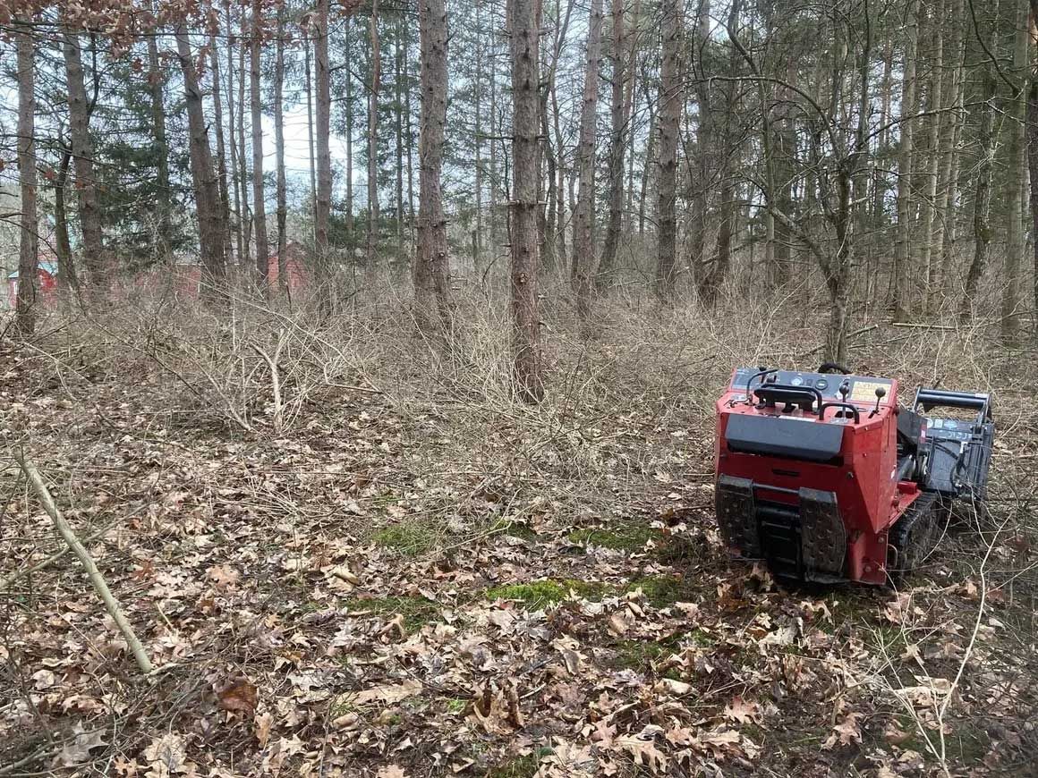 Tree & Brush Removal 11