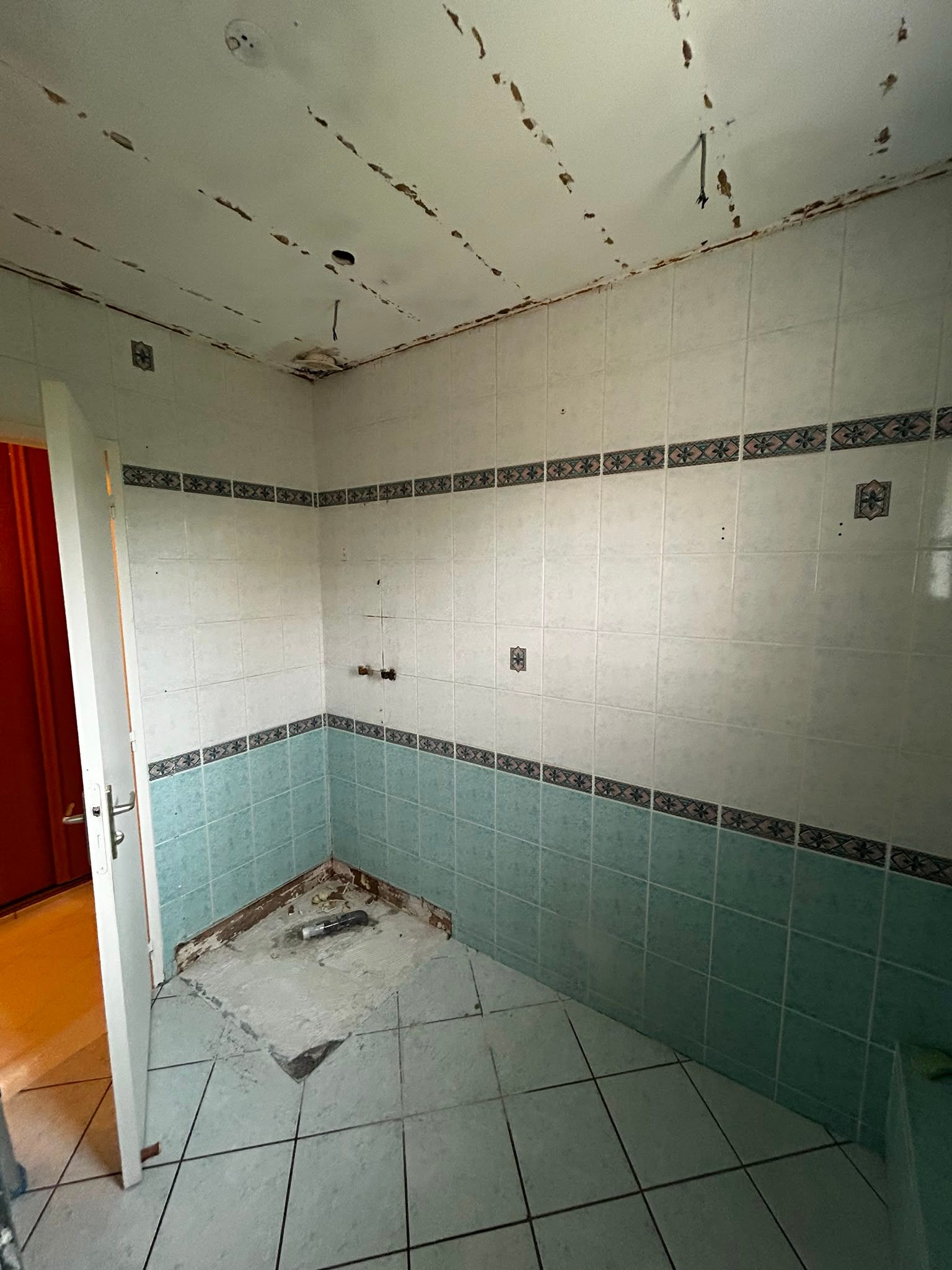 Avant la rénovation de la salle de bain 