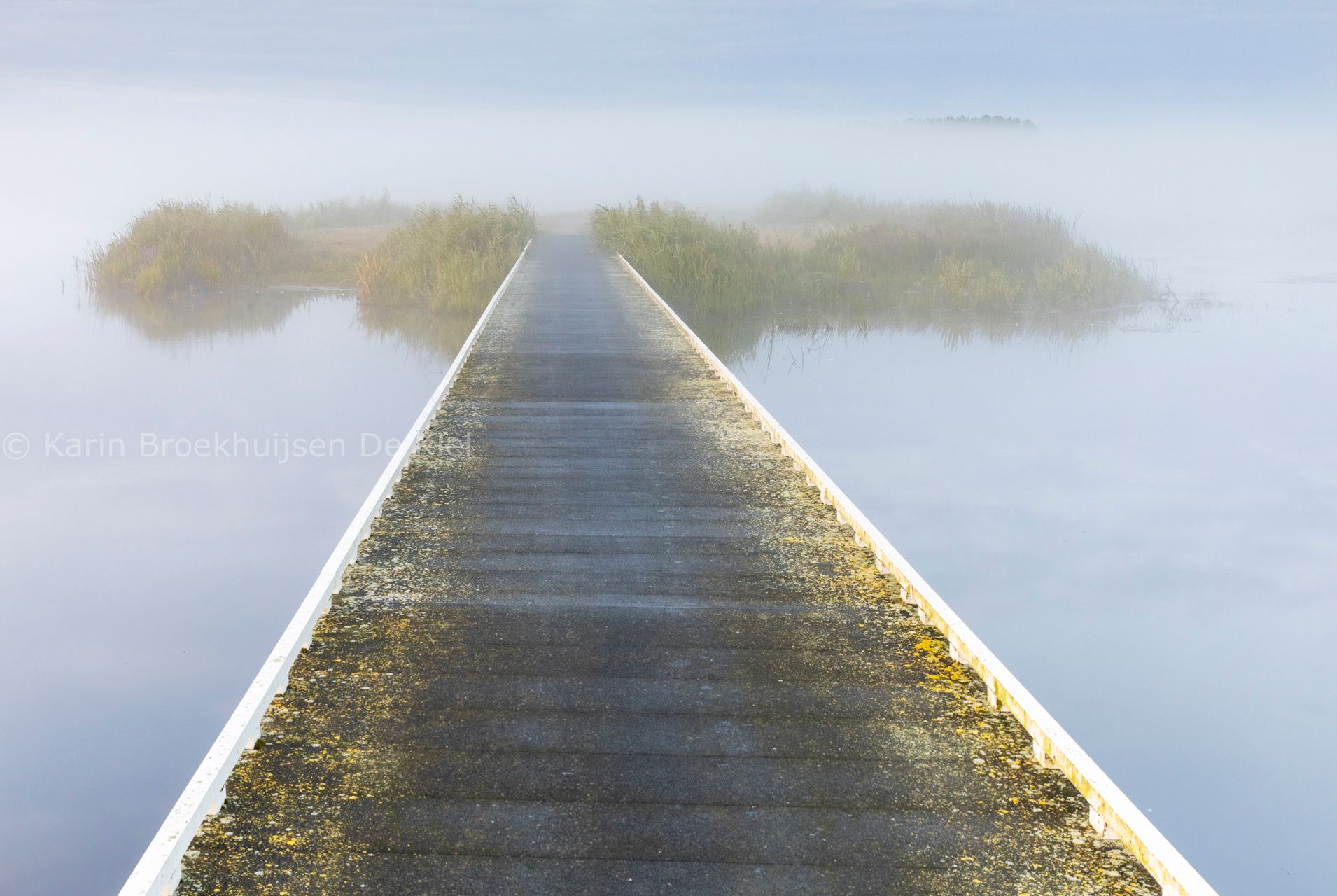 Drenthe waterwingebied