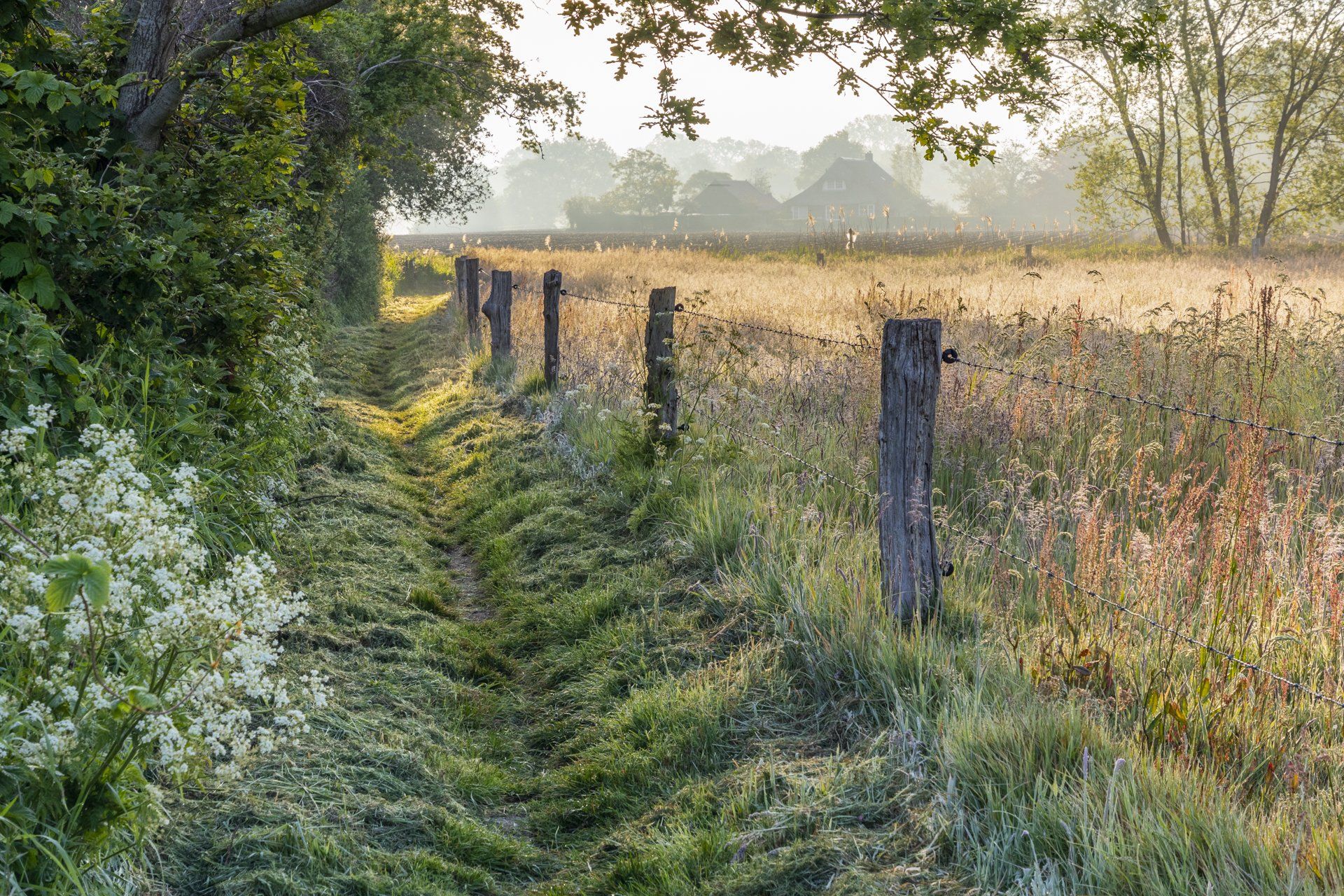 Reestdal landschap