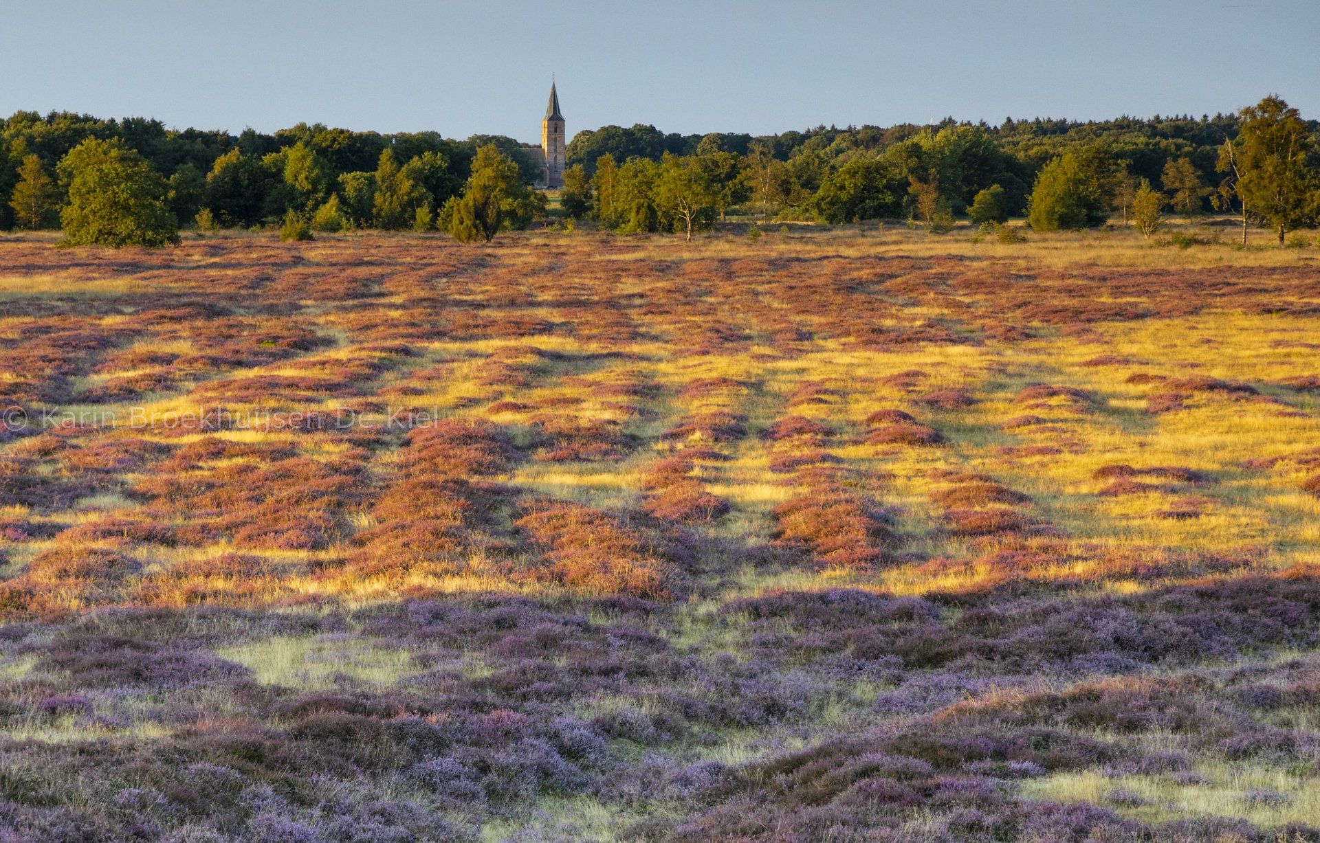 Drenthe zomer landschap