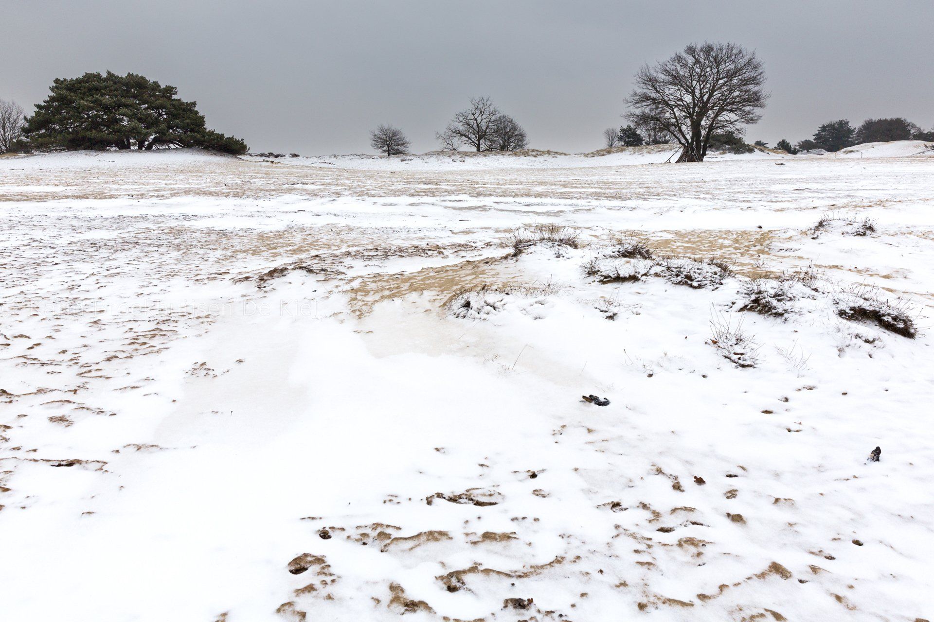 Drenthe winter landschap