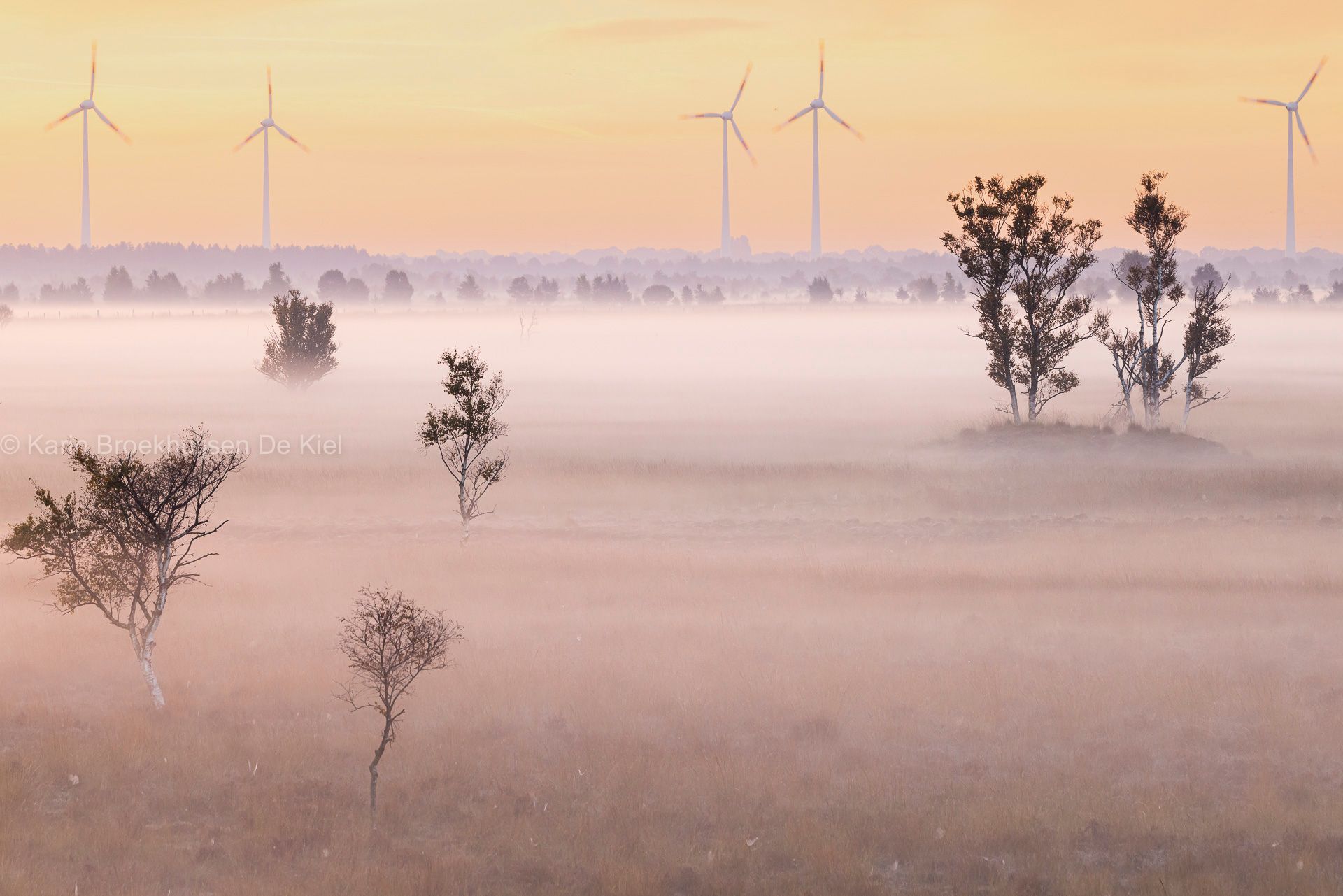 Bargerveen-landschap