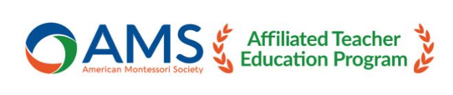 ams icon