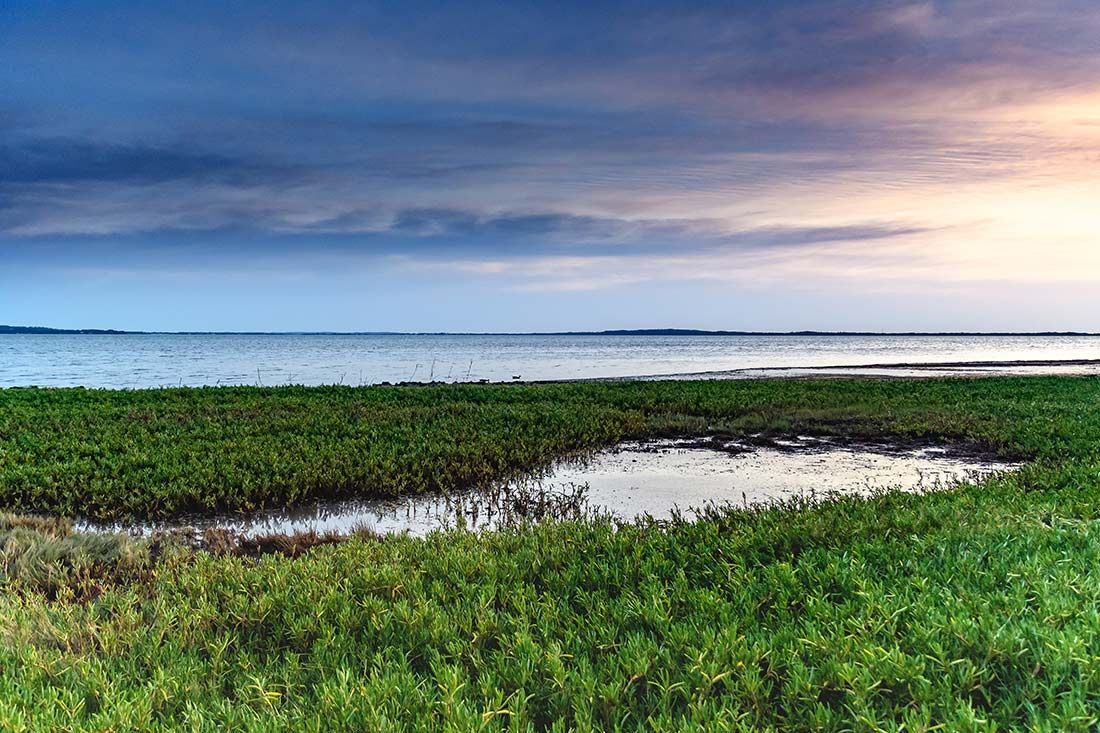 There is a Small Pond in the Middle of the Grass Near the Water — Mark's Flooring & Handyman Services in Chittaway Bay, NSW