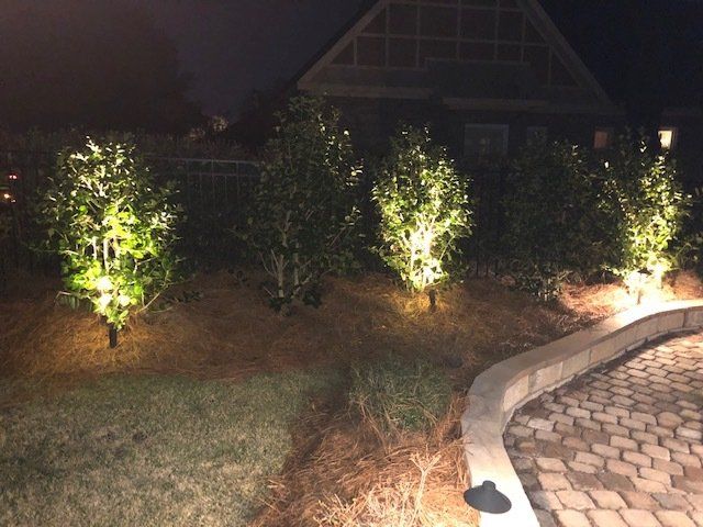 Curved Concrete Path Dividing Grass — Montgomery, AL — Lawns by Scott