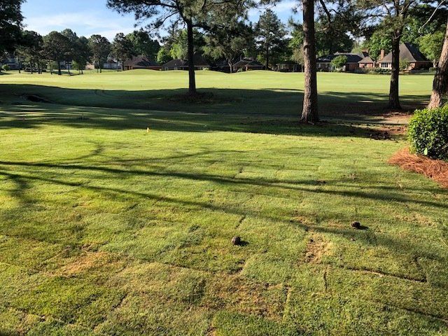 Sprinkler on Green Lawn — Montgomery, AL — Lawns by Scott