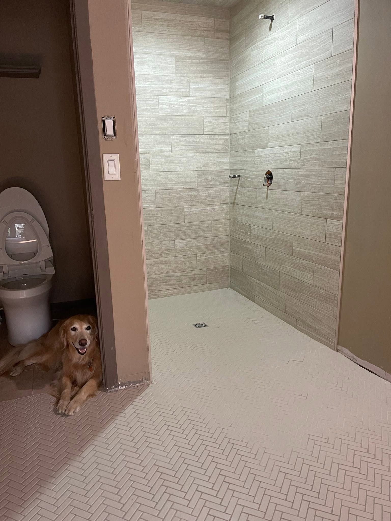 Bathroom with a toilet on the left, a small dog sitting at the doorway, and a tiled shower area ahead.