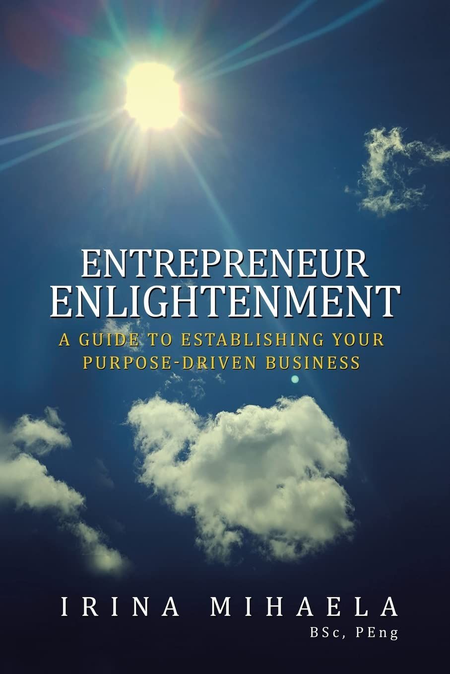Book cover for
