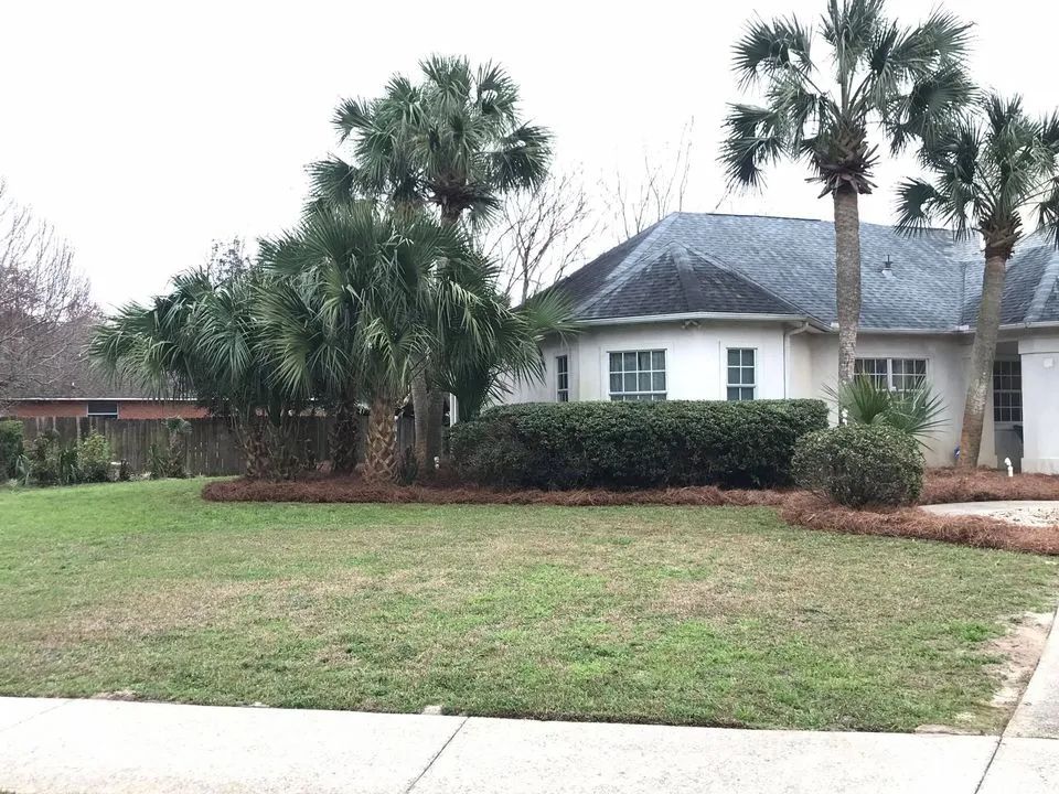 A white house with palm trees in front of it