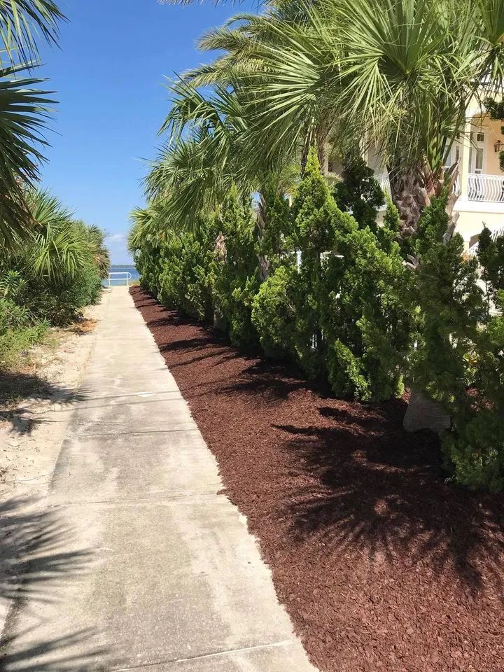 A walkway leading to the beach with palm trees on both sides.
