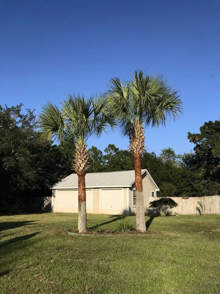 Two palm trees are standing next to each other in front of a garage.