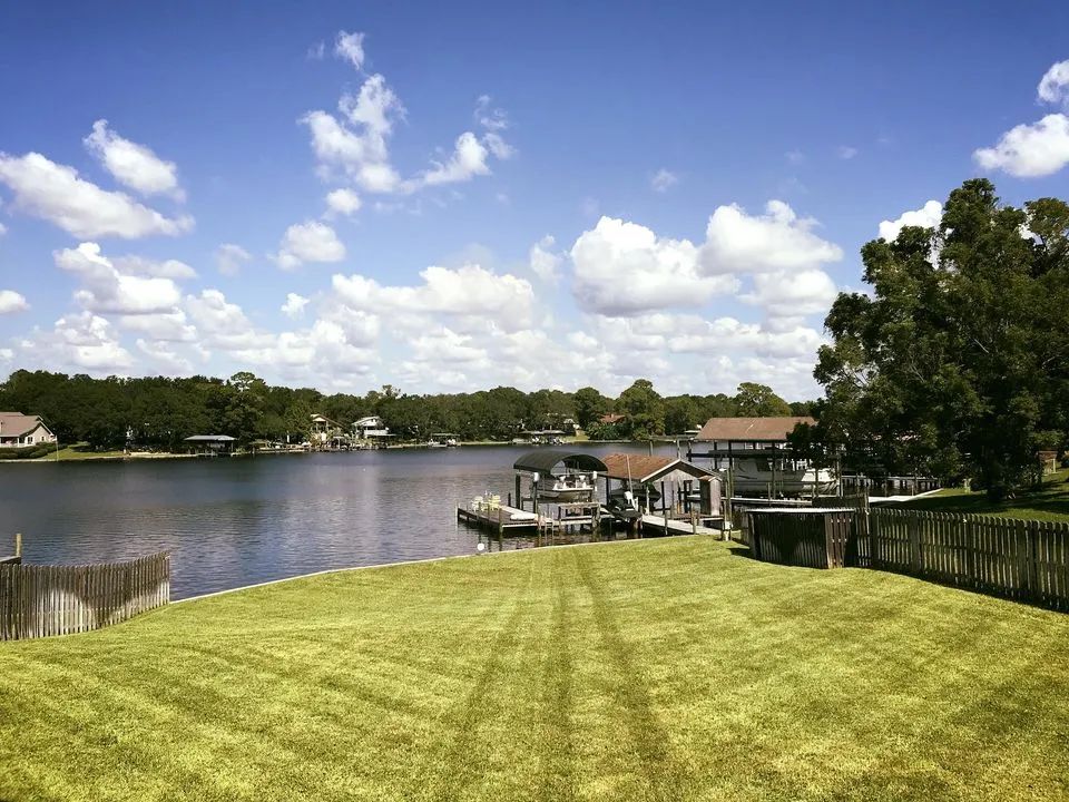 A large body of water surrounded by trees and houses on a sunny day.