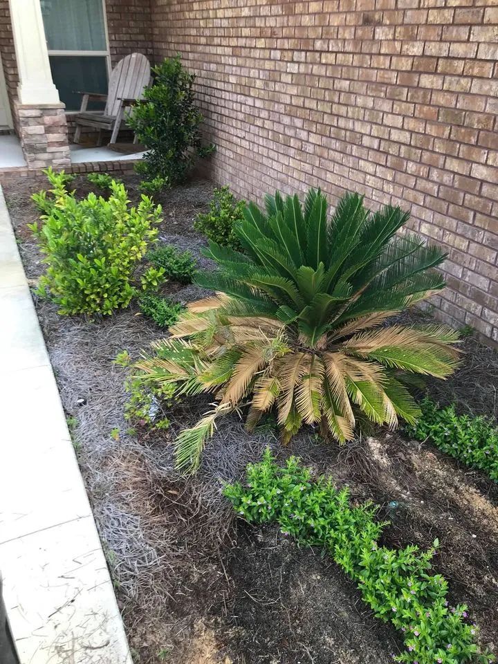 A brick wall with a chair and a palm tree in front of it.