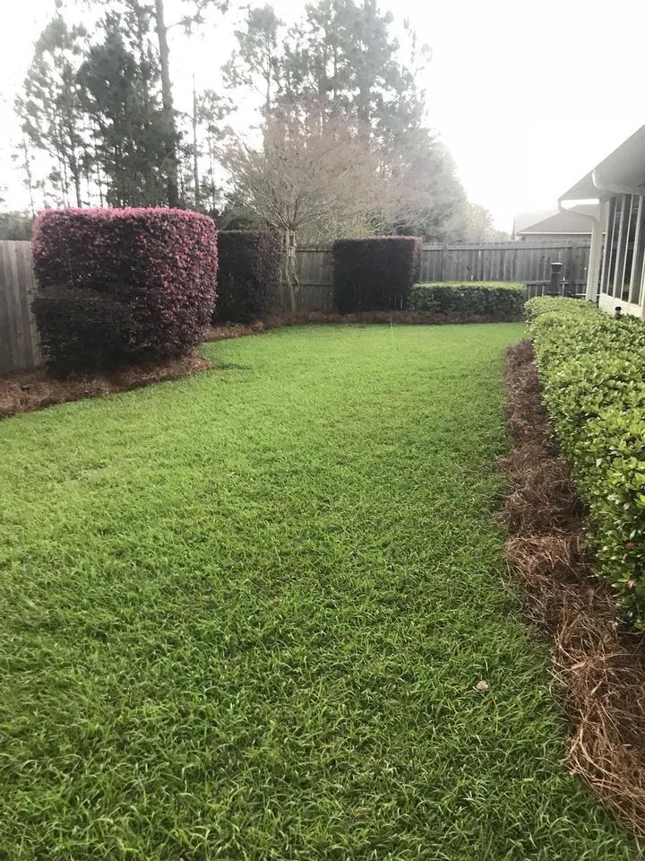 A lush green lawn with a fence in the background and trees in the background.