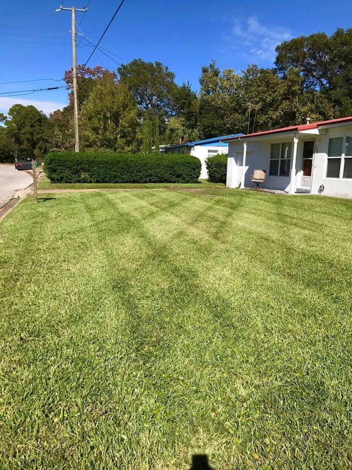 A lush green lawn in front of a house on a sunny day.