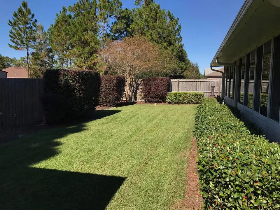 A backyard with a lush green lawn and a fence.