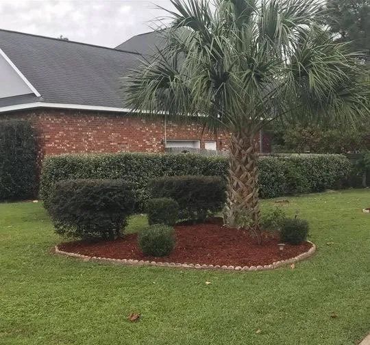 A palm tree is in the middle of a lush green lawn in front of a brick house.