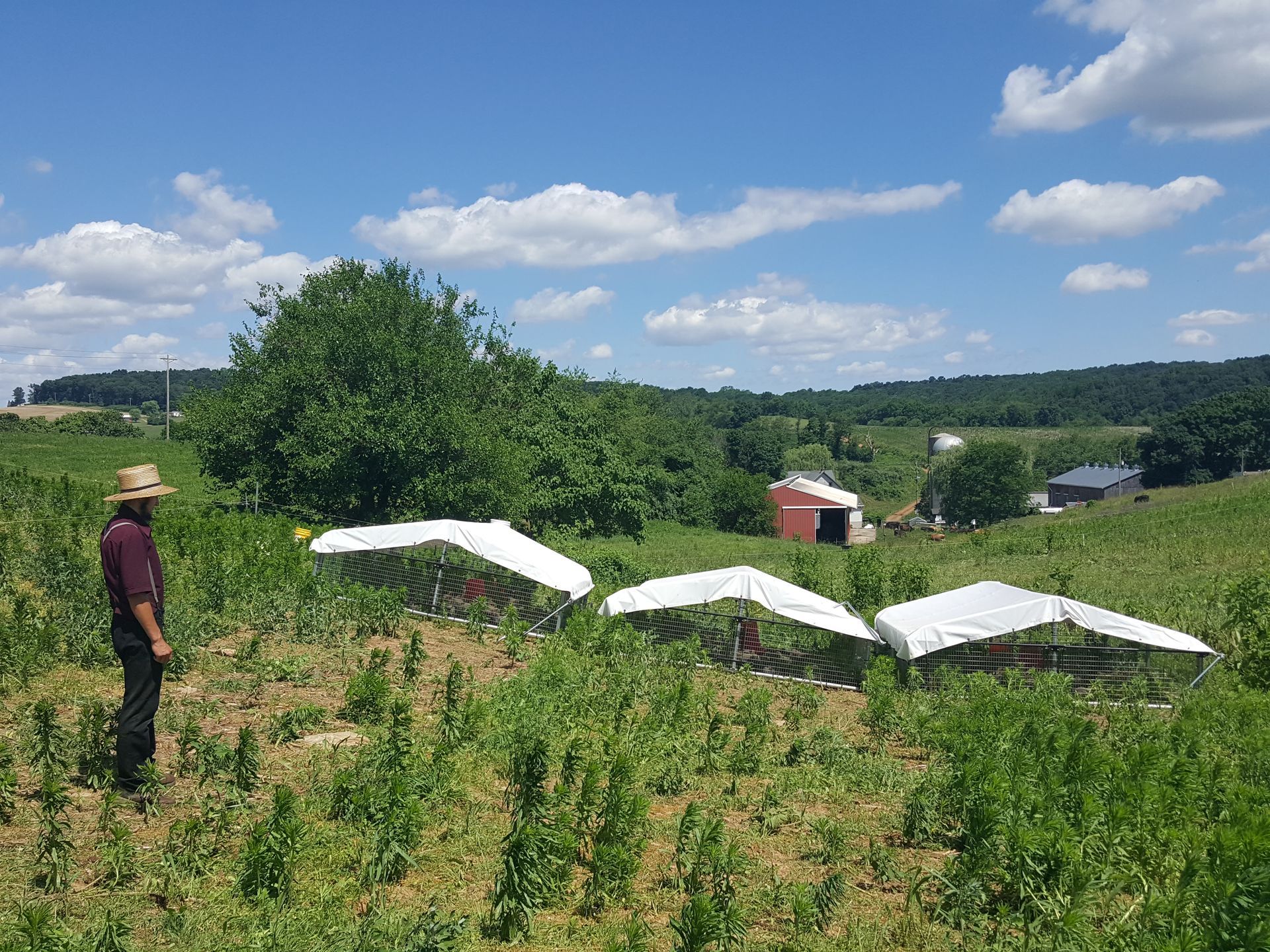 A man in a straw hat is standing in a field with tents.