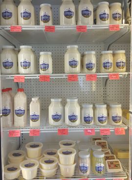 A refrigerator filled with bottles and jars of mayonnaise