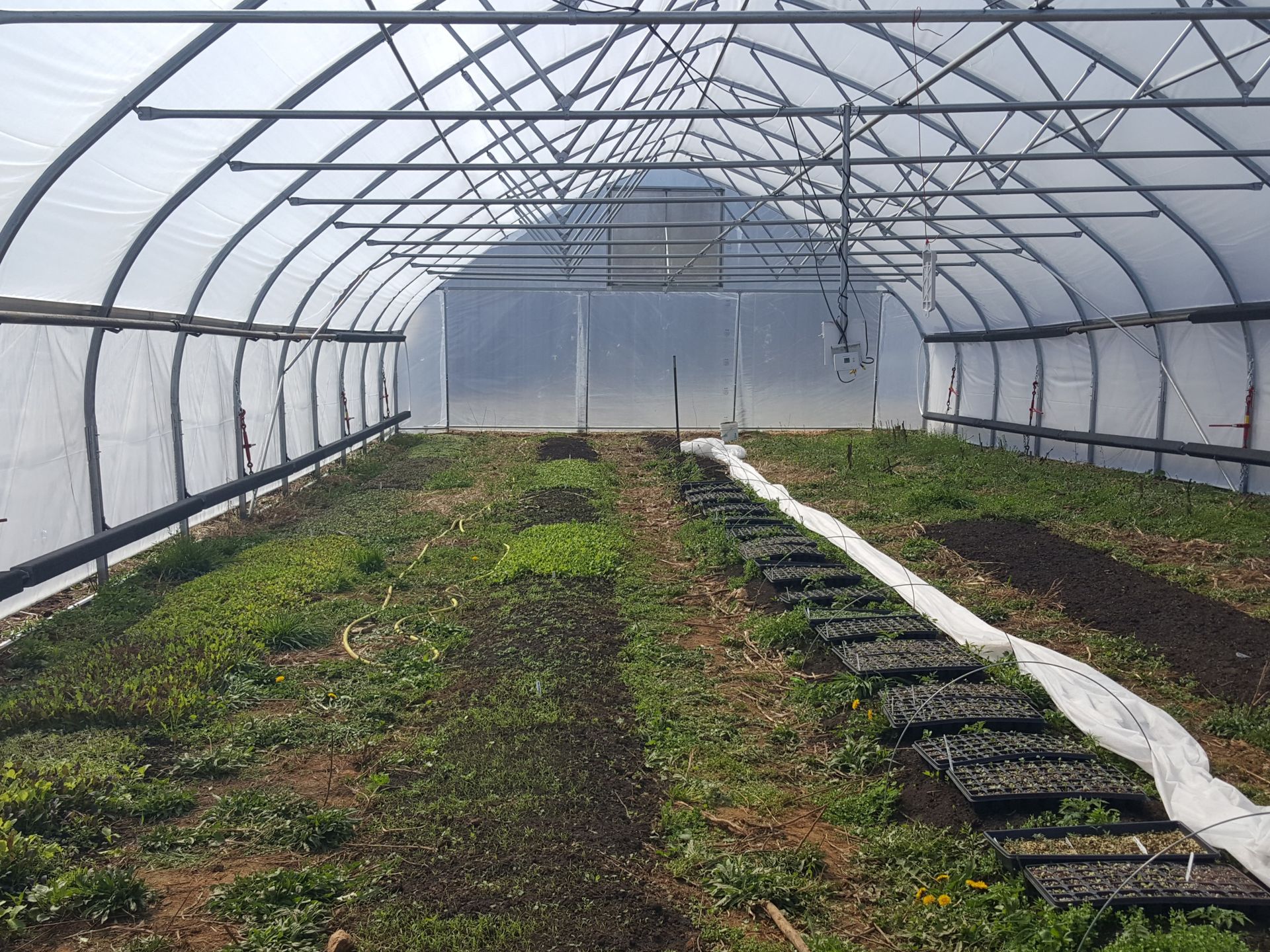 A greenhouse with a lot of plants inside of it