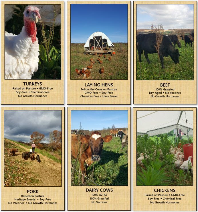 Turkeys laying hens beef pork dairy cows and chickens are shown