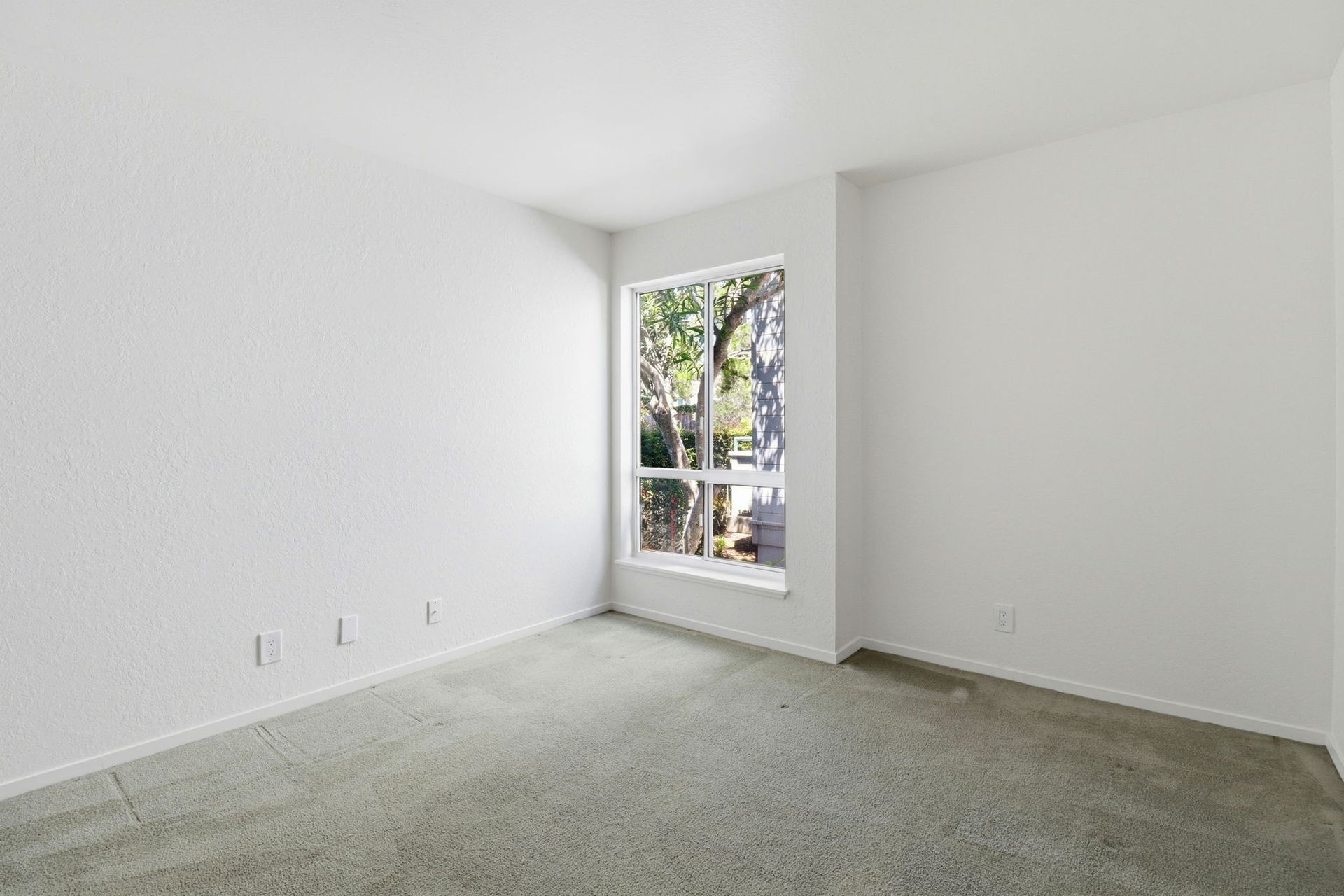 Empty white room with carpet and a window overlooking trees