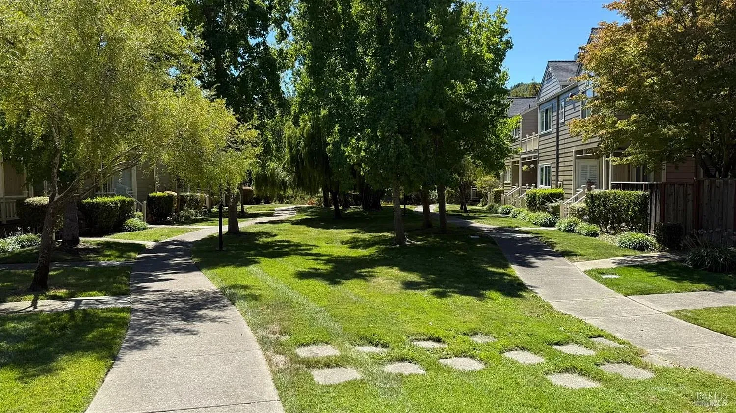 Sunny park with green trees, grassy lawn, and winding stone paths beside buildings