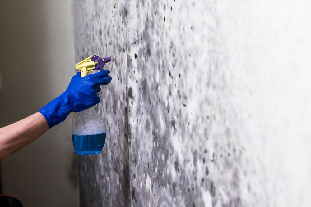 Cleaners In Tamworth